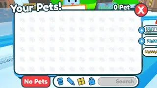 0 PET GLITCH IN PET SIMULATOR X