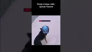 #млбб