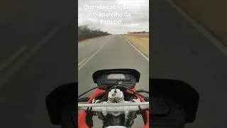 8 de dezembro de 2023
