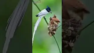 Учитесь, люди!
