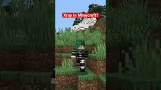 XRAY LEGALI e VANILLA in Minecraft 1.19