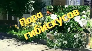 Ейск ! Преображение и работы радуют нас ! Оно пришло .....😂 Немного о разном !