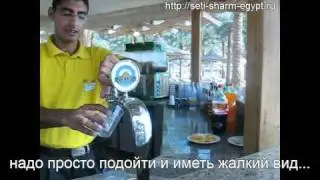 Пляж в Сети Шарм. Бар на пляже