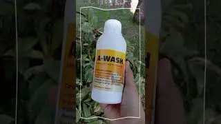 PEMBERSIH NODA MEMBANDEL 