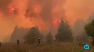 Terrible forest fires in Borjomi municipality, Georgia
