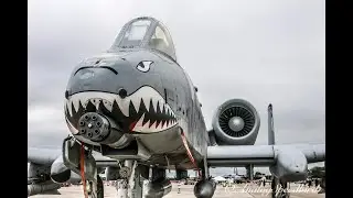 Operation Resolute Shield - A-10Cii | DCS 1st AEW