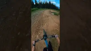 The coolest natural feature I've ever seen at a bike park!