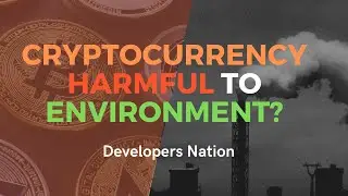 Bitcoin Mining se Pollution Hota hai? Is Cryptocurrency Harmful To Environment? | Developers Nation