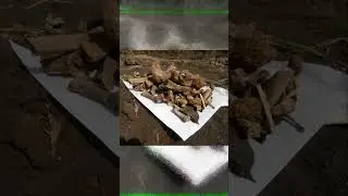 SCP 5999   Здесь настал мой черёд 