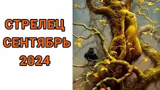 СТРЕЛЕЦ♐️ |🍂СЕНТЯБРЬ🍁| ТАРО | 2024