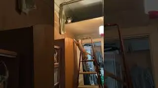 Масяня и Мурзик помогали разбирать антресоль 😅