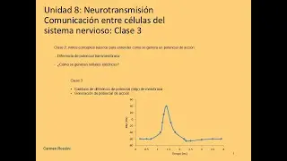 Unidad 8 2024 Neurotransmisión clase 3