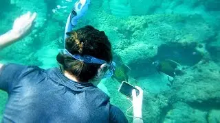 SWIMMING WITH SHARKS!!!