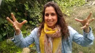 4 pasos para un estilo de vida ZeroWaste