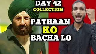 Gadar 2 Day 42 Official Collection | Gadar 2 Day 42 Box Office Collection 