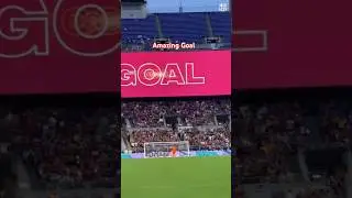 Amazing Goal