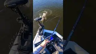 The Fish of my Dreams!