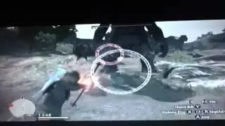 Dragons dogma Killing ogre