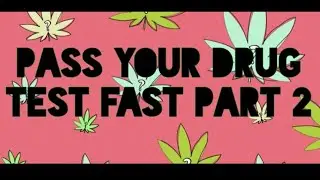 Pass Drug Test In 2 Days Part 2
