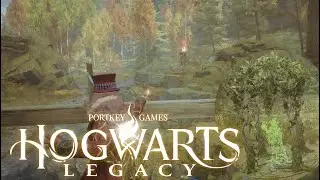 Hogwarts Legacy | North Hogwarts Region – Merlin Trial (Brazier Pillar Puzzle)