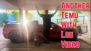 Another Temu with Lou video