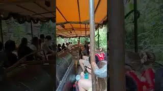 Jungle Cruise (part 5) #junglecruise #disneyworld #shorts