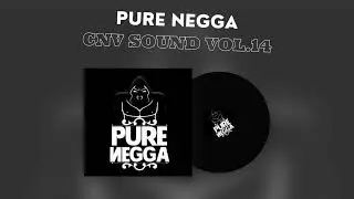 PURE NEGGA CNV SOUND VOL .14 (24 BIT AUDIO)