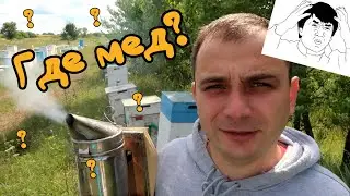 Где мёд? | Такое тоже бывает! | Неудачный сезон?
