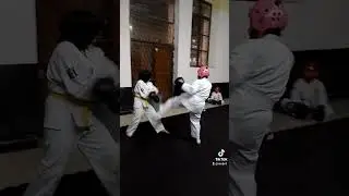 dojo Shudokan internacional Tulancingo Hidalgo