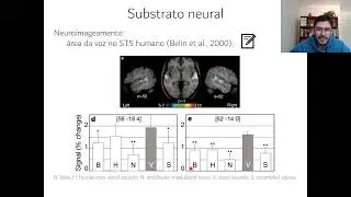Aula 15 - Percepção da fala (parte 3)