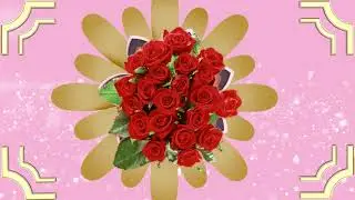 ФУТАЖ КРАСНЫЕ РОЗЫ # БЕСПЛАТНО