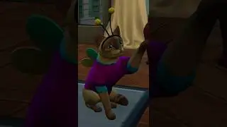 лучшее украшение это котик 😻 Симс 4 