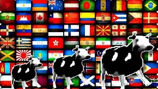 Polish Cow in 30 languages meme
