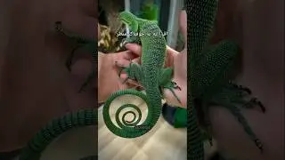 Amazing short clips viral #amazing #shortclips #viralclips #azharhftv
