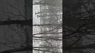 первое апреля 2019 Москва
