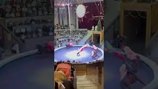 9 января 2024 г.