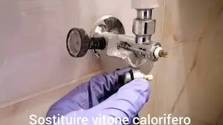 Sostituire vitone calorifero Senza scaricare l'acqua Gelare i detentori