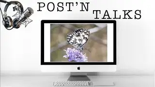 POST'N TALKS • Fotografare le FARFALLE non è semplice