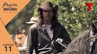 Pasión de Gavilanes, Nueva Temporada | Capítulo 11: Ataque a los Reyes | Telemundo Novelas