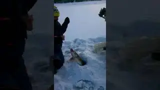 Проверка жерлицы Терминатор.