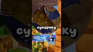 Умный котик🐈 