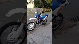 Suzuki RMX 250 Azul emplacada (Suzuki RMX blue street legal)