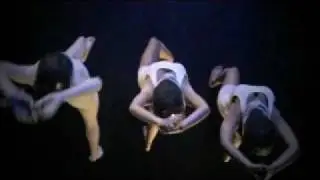 Hive