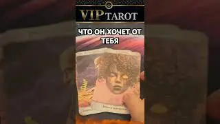 ЧТО ОН ХОЧЕТ О ТЕБЯ  💯 таро гадание 🔮 