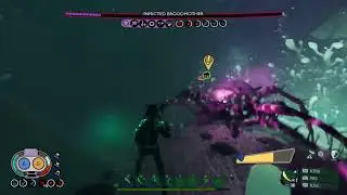 Grinding NG+2 - Grounded