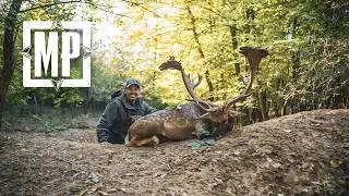 The Roar - Fallow Deer Hunt in Slovakia | Mark V. Peterson Hunting