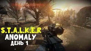 S.T.A.L.K.E.R - ANOMALY ПЕРВЫЙ ДЕНЬ/ ПРОХОЖДЕНИЕ СТАЛКЕРА