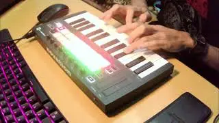 Tiny Little Adiantum - Omae wa Mou (cover)