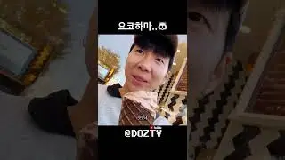 요코하마..🐼 