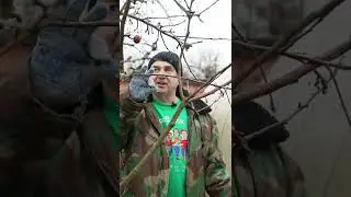 СРОЧНО уберите инфекцию в саду! ЭТО есть у каждого